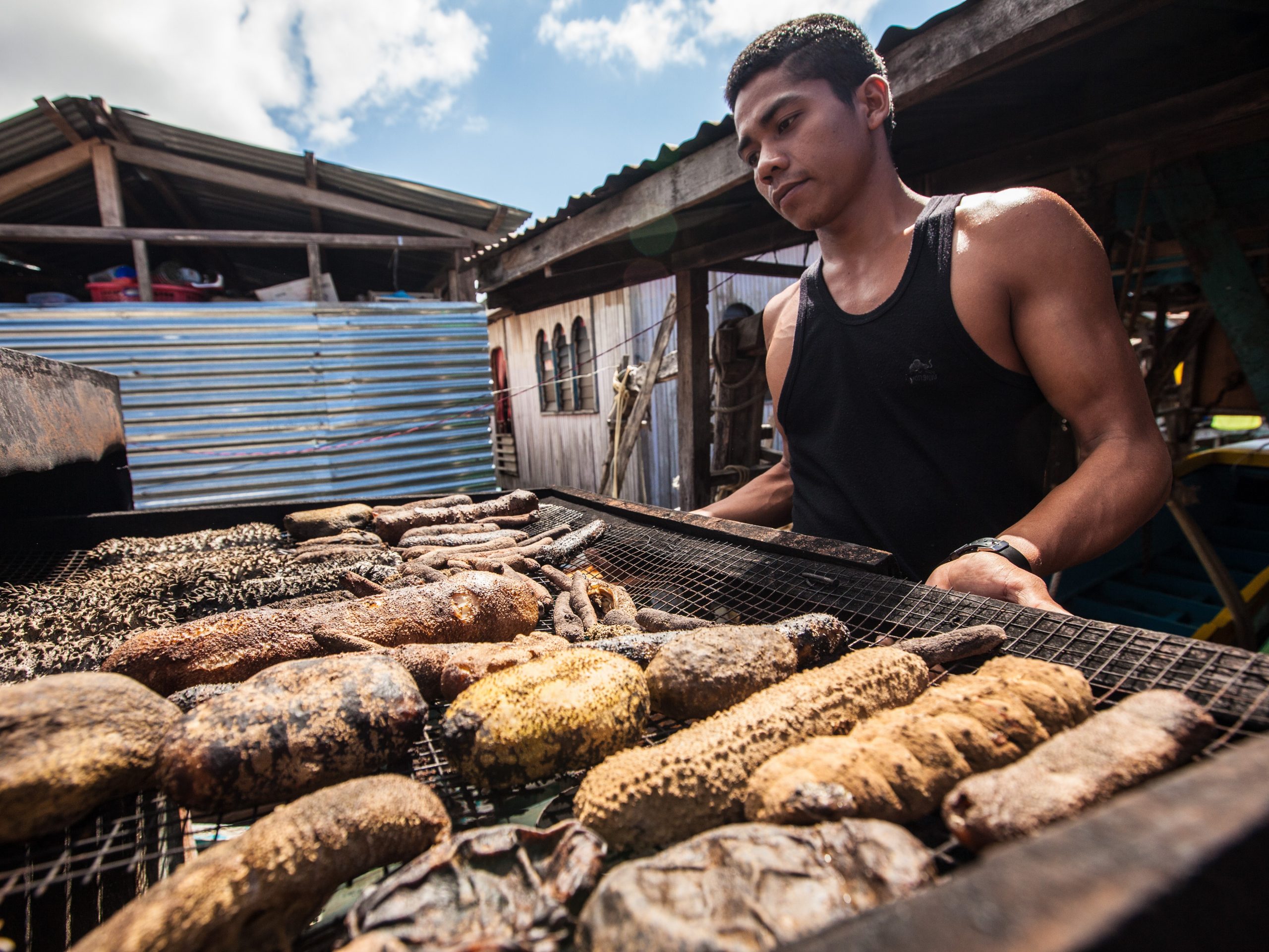 Dried sea cucumber is an alternative seafood product sold by fishers in Banggi Island