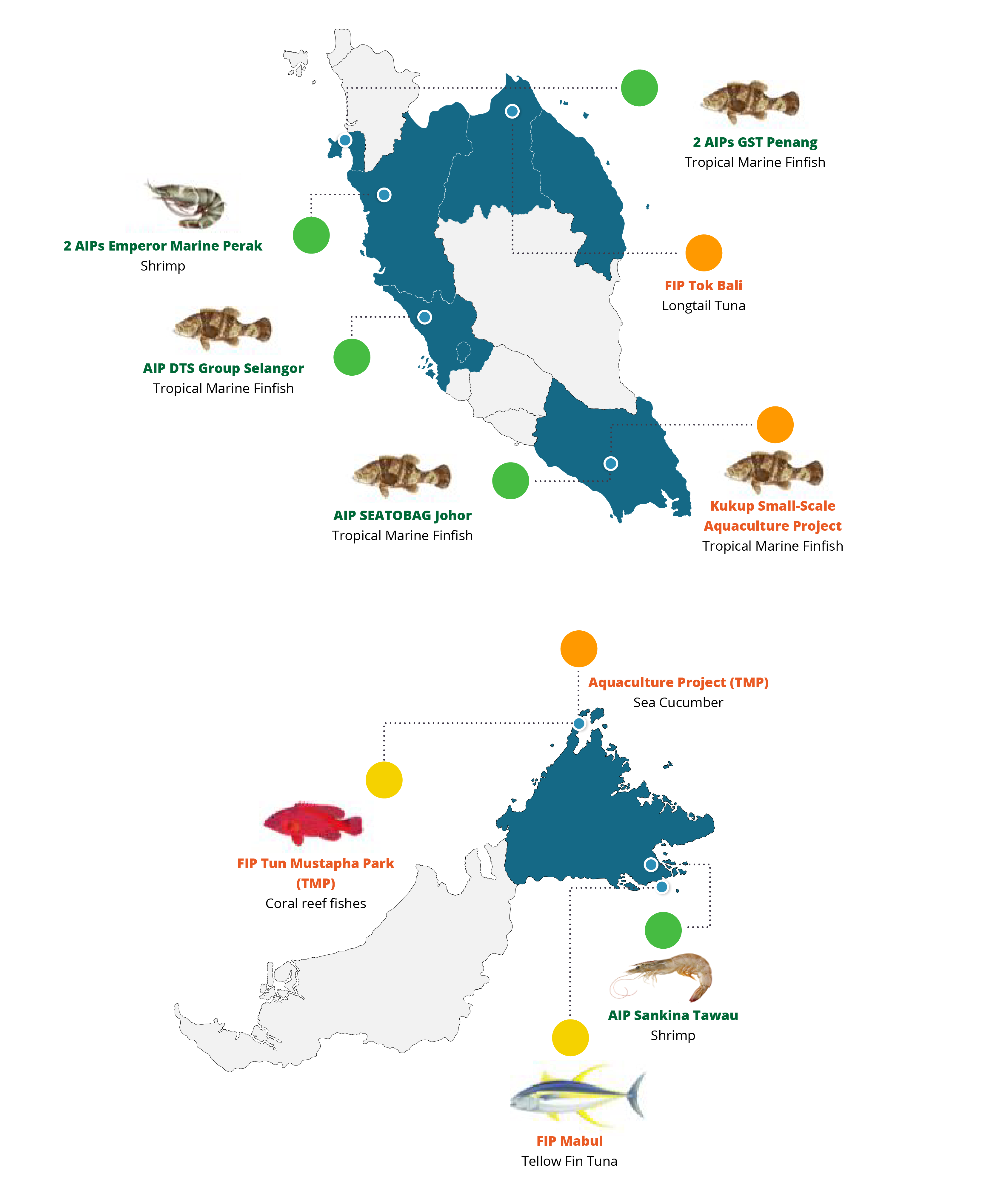 SmallScale Fisheries Project (SSFP) Save Our Seafood