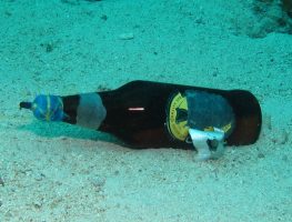 A fish bomb found on the sea floor. Its content is made of fertilizers that is easily available on the market.